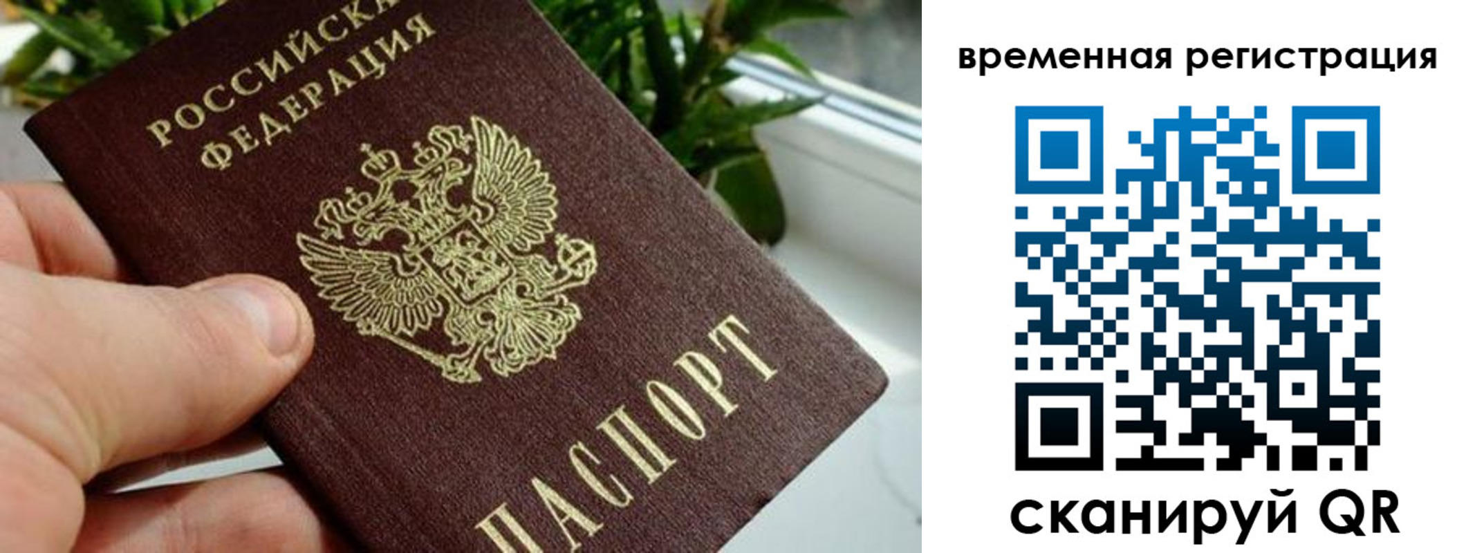 прописка поиск в Горнозаводске